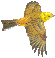 strndka lt - emberiza citrinella - citromsrmny